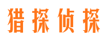 正定市场调查